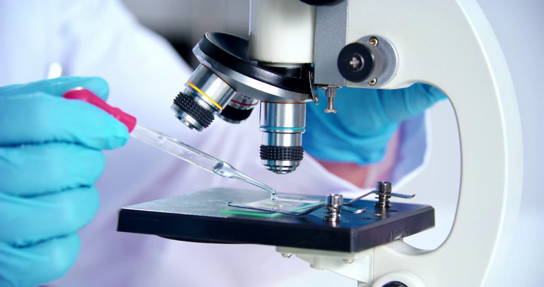 首页- J9集团国际站官网入口