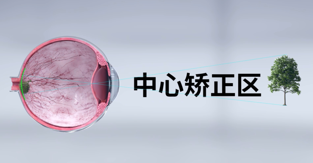 首页- J9集团国际站官网入口