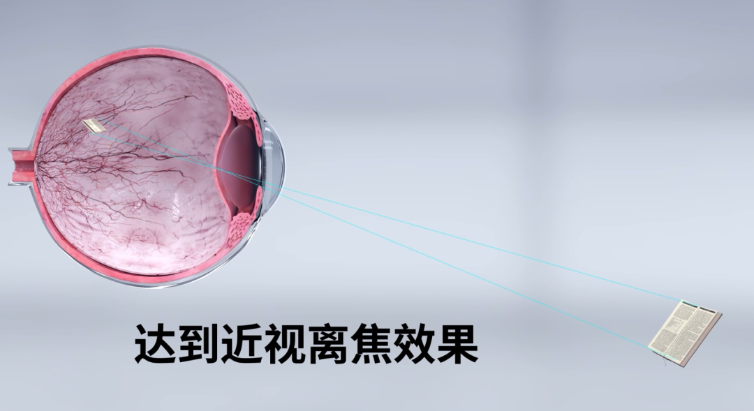首页- J9集团国际站官网入口